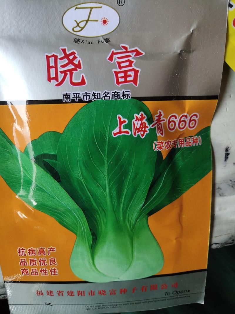 上海青菜种，菜农专用品种。较耐寒