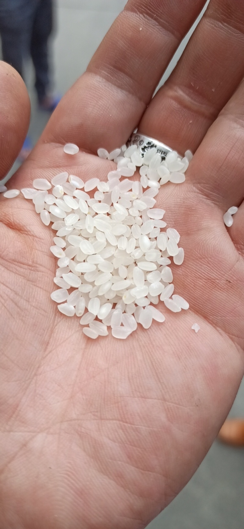 优质珍珠米2块包邮