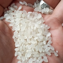 优质珍珠米2块包邮