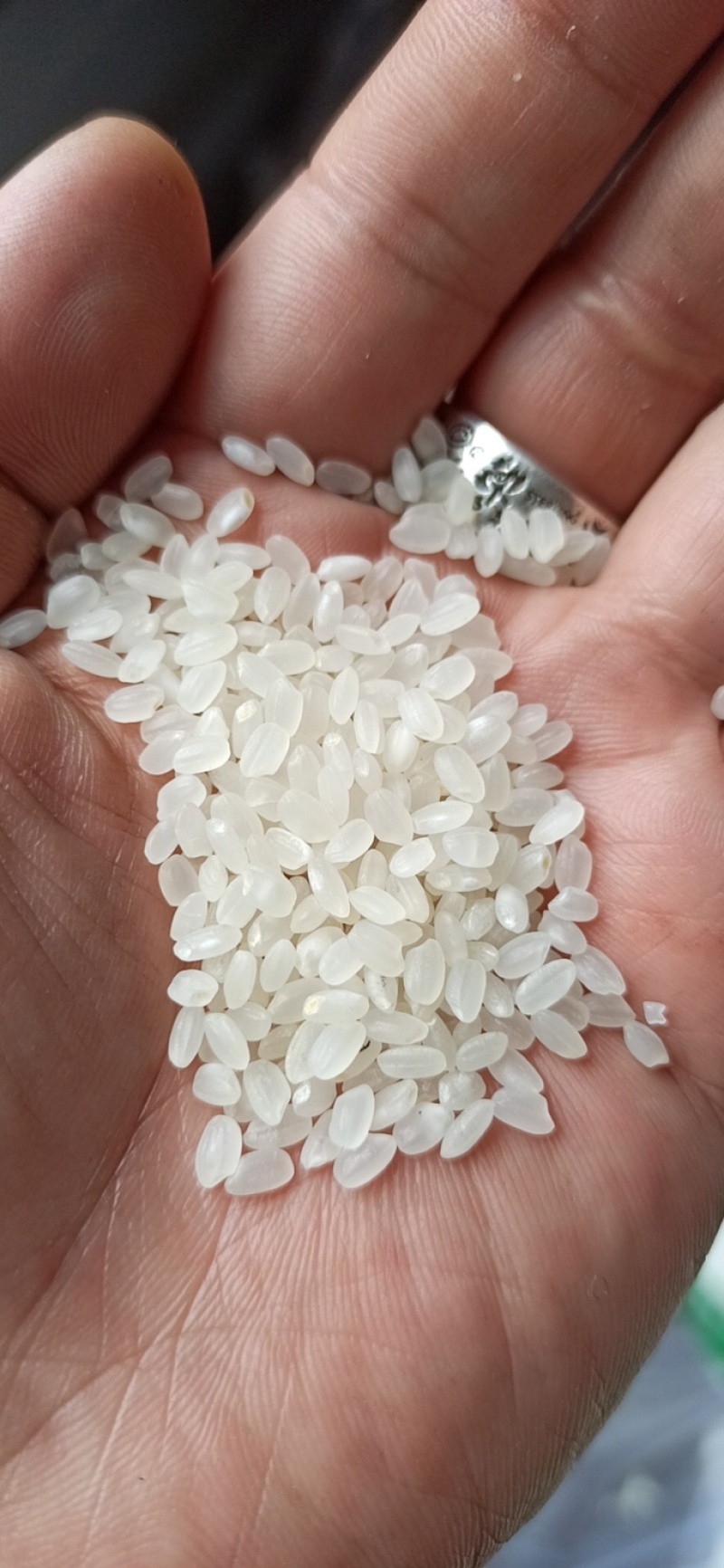 优质珍珠米2块包邮