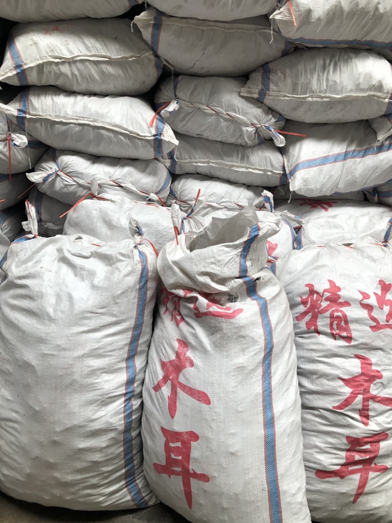 新货头茬毛木耳地摊热卖大木耳火锅串串食堂专供