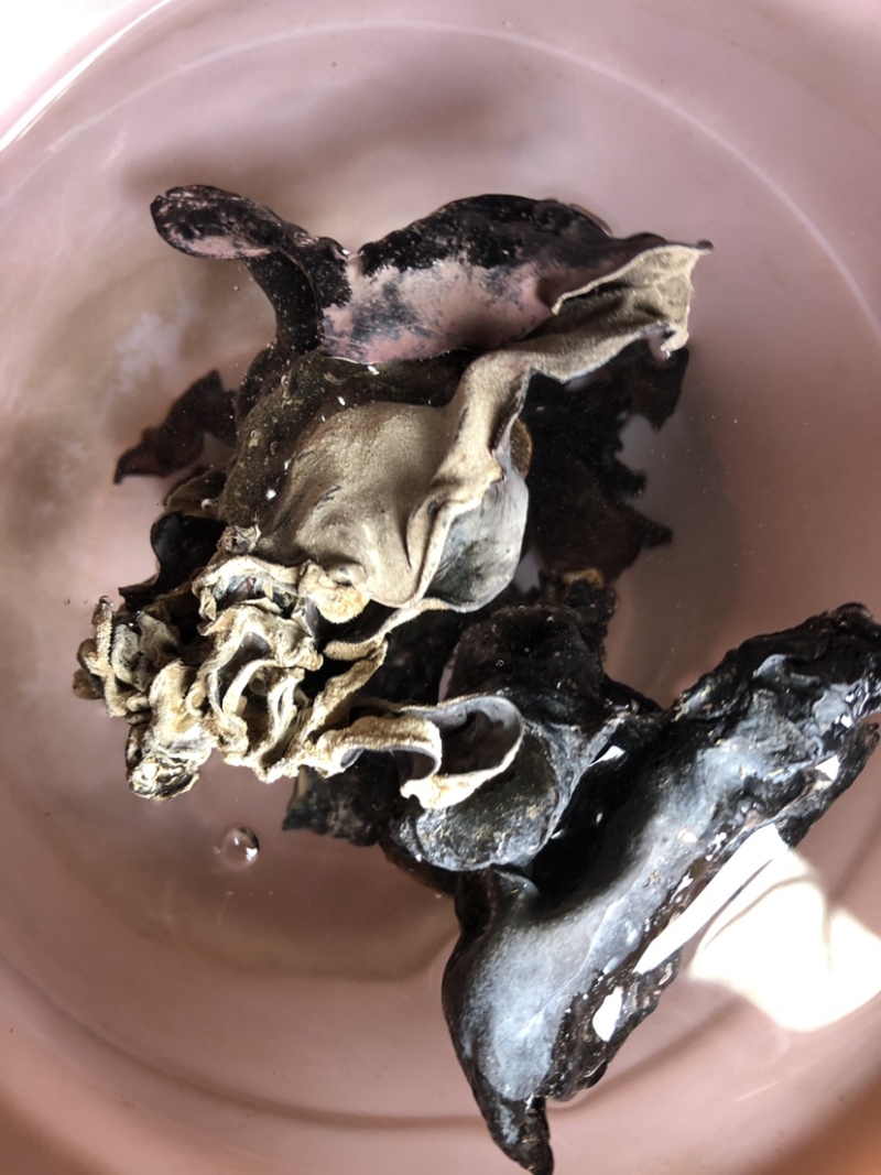 新货头茬毛木耳地摊热卖大木耳火锅串串食堂专供