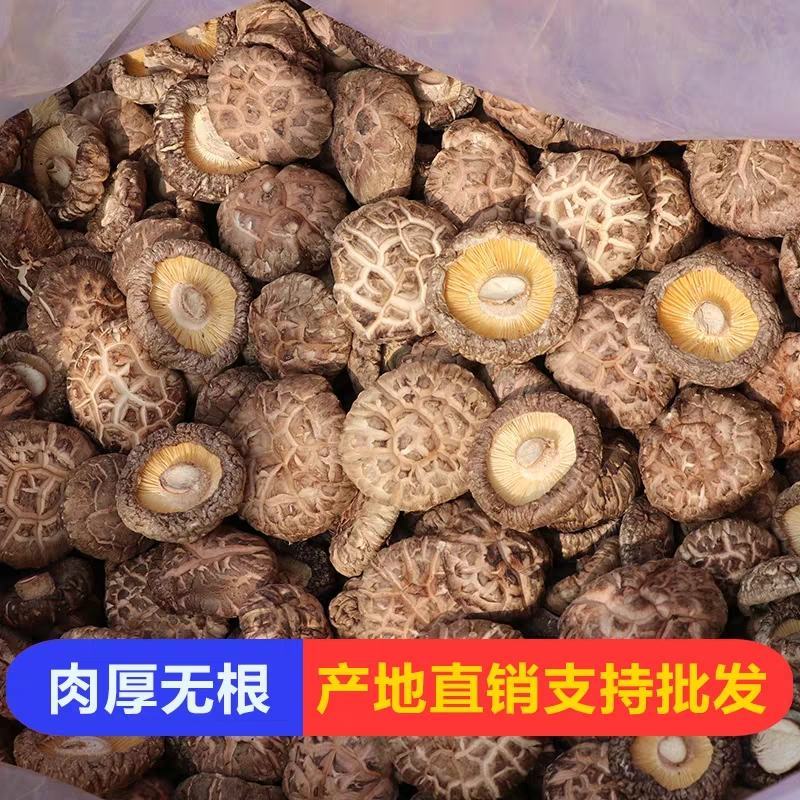 产地批发优质花菇量大稳定香菇干货大小规格都有