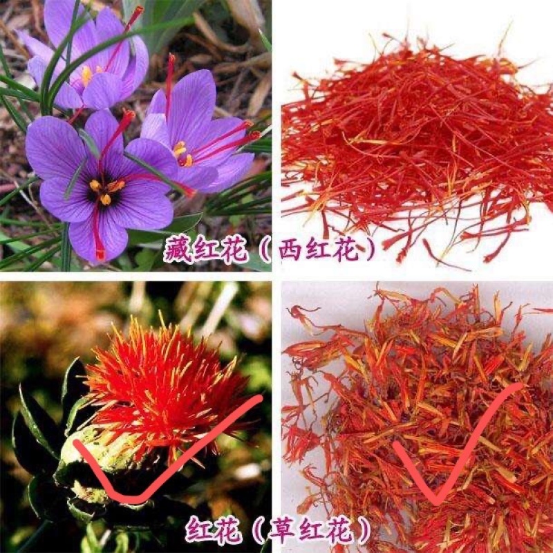 展会热卖藏红花朵地摊跑量干红花花红叶绿干度好