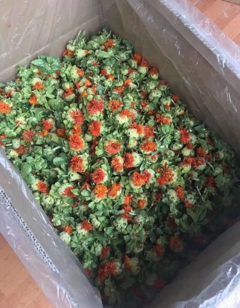 展会热卖藏红花朵地摊跑量干红花花红叶绿干度好