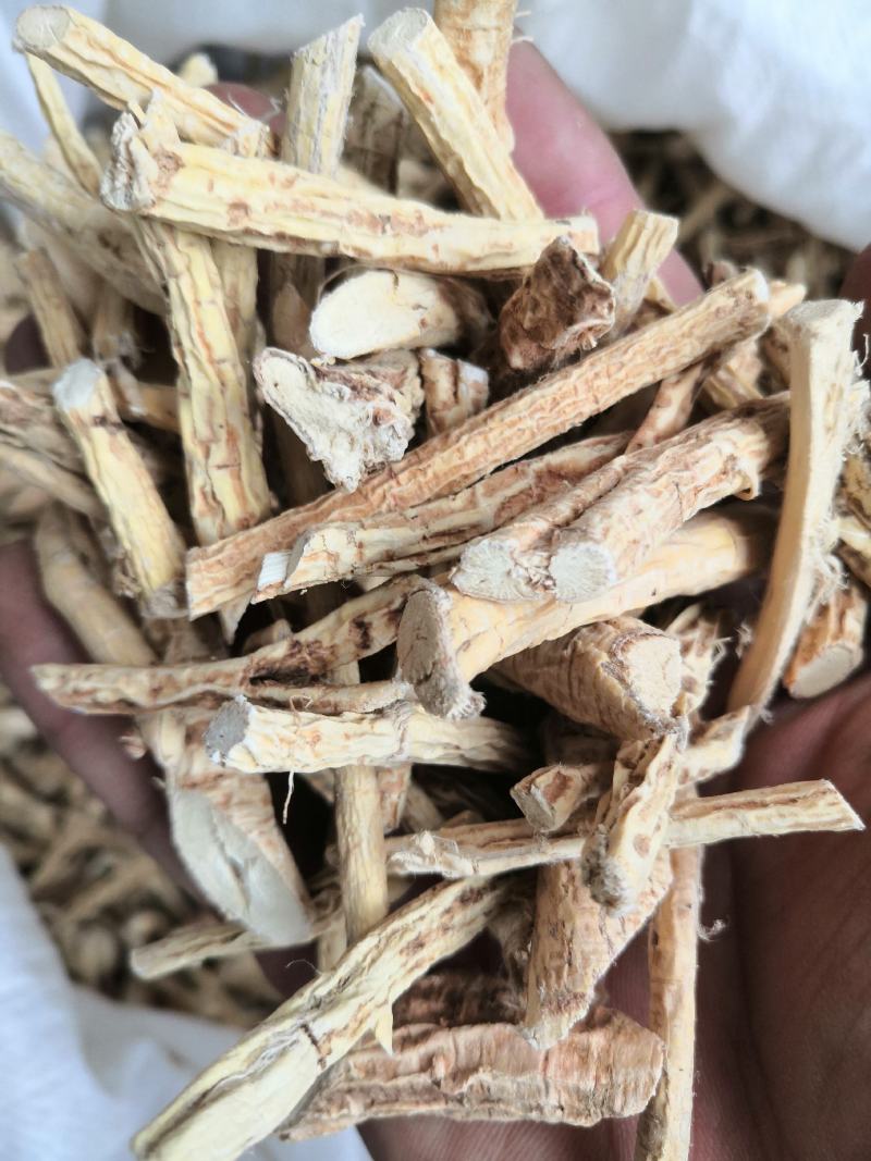 产地直销牛大力低价出售