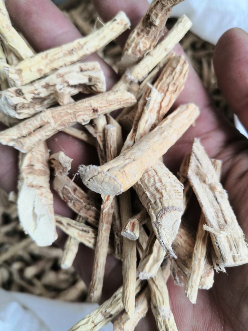 产地直销牛大力低价出售
