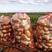 内蒙武川V7土豆品种齐全产地直供供货量大一手货