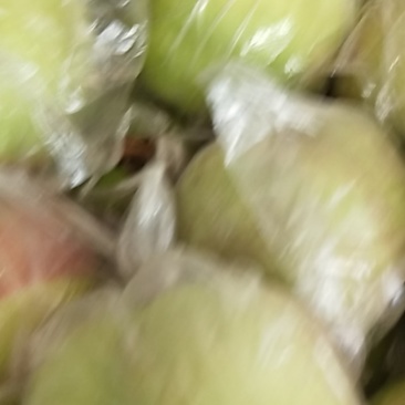 迎秋油桃