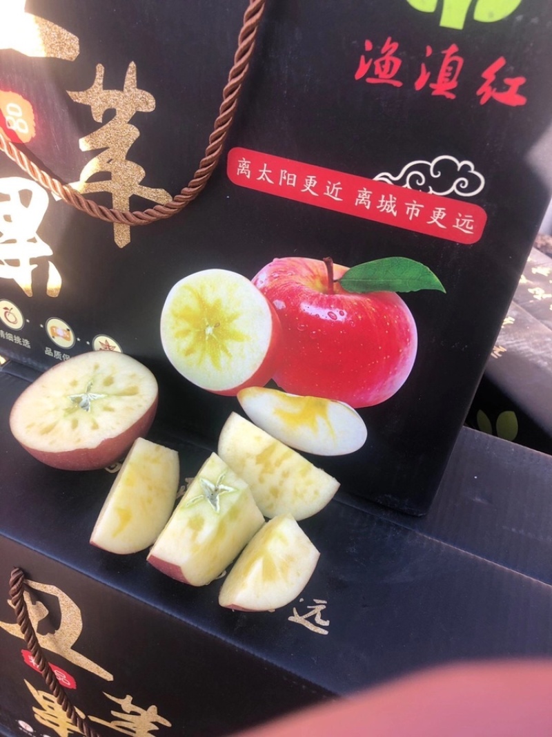 丑苹果【好货】云南昭通野生冰糖心一件代发，专业代办