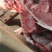供应农家土猪肉猪肉高山放养肉质鲜美生鲜批发
