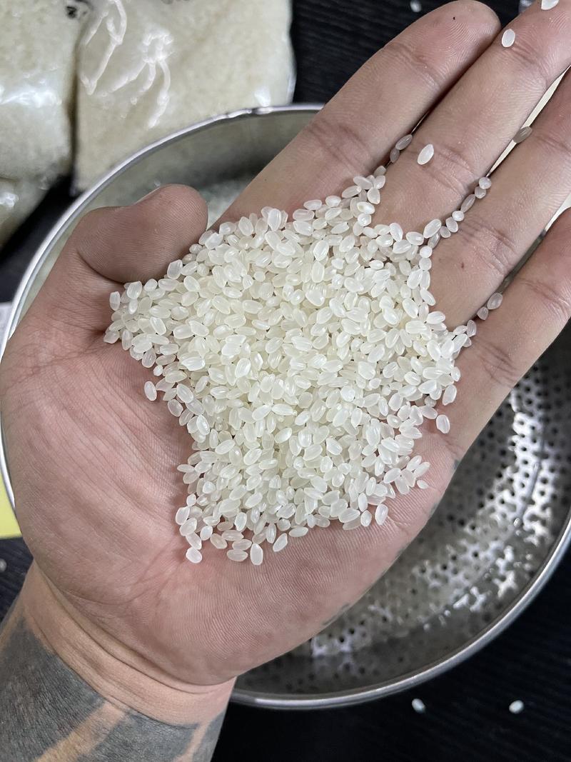 东北圆粒米，2020年新米，安全水份烘干粮，大量供应