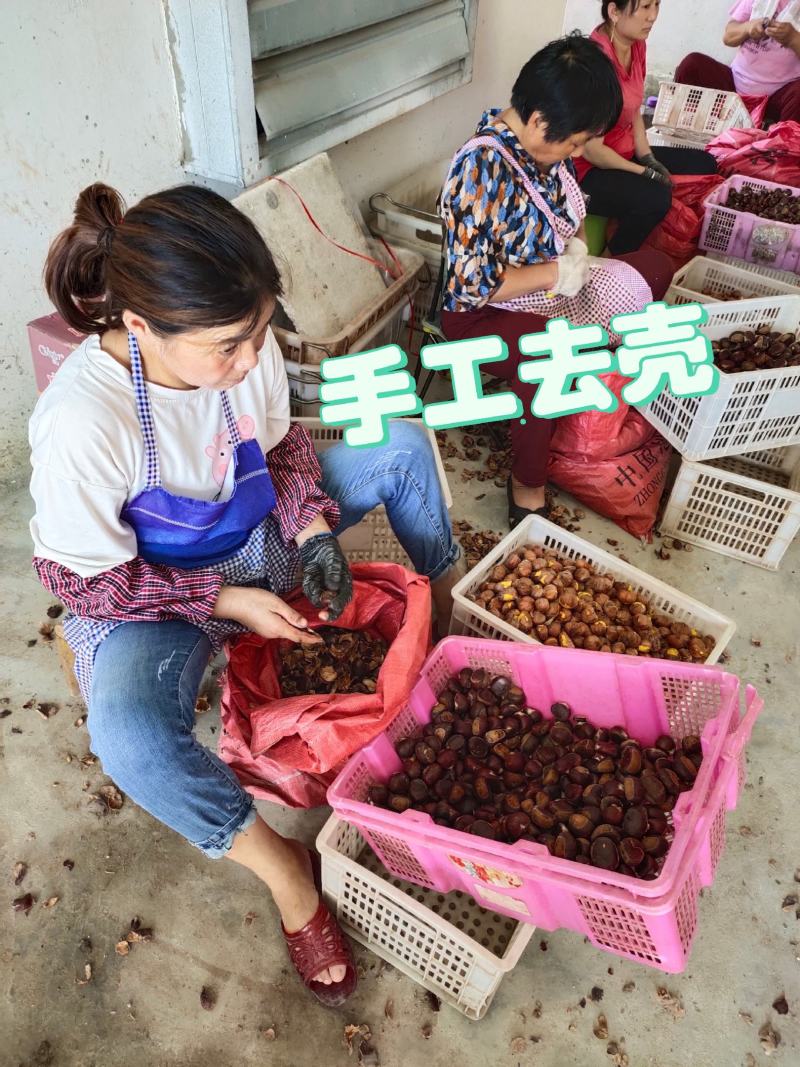 全年供应手工去壳生鲜板栗仁带衣板栗仁，全国发货