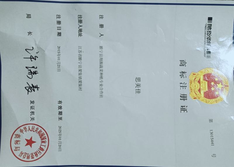 新疆金丝茭瓜