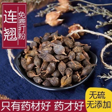 连翘中药材正品新货特级磨莲翘粉连翘茶青翘落翘连翘