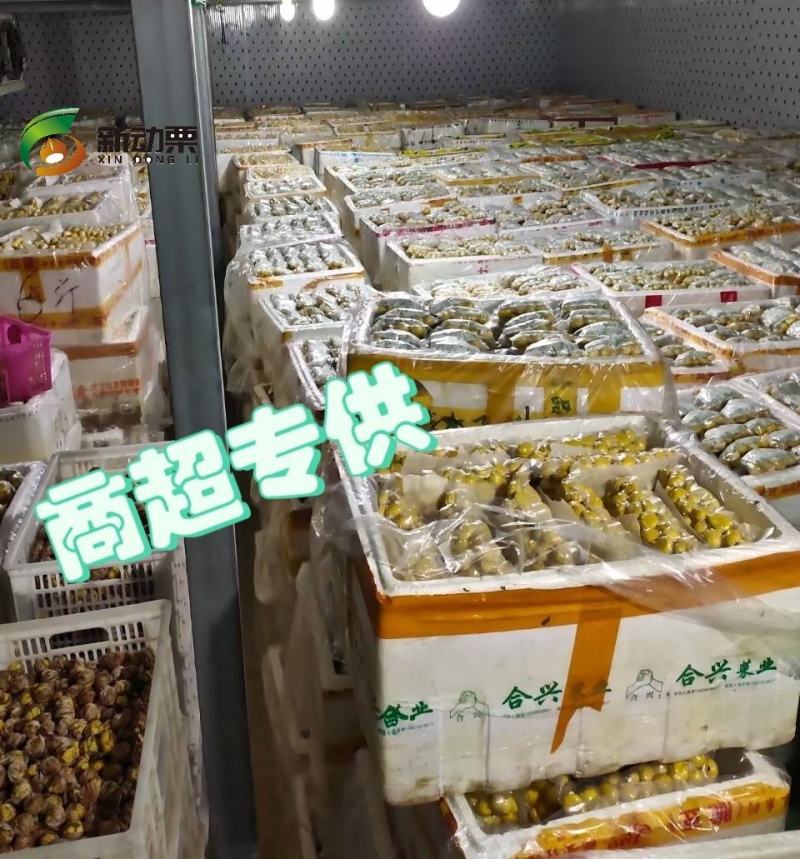 全年供应生鲜板栗仁散装5斤包装，其它规格可定做。