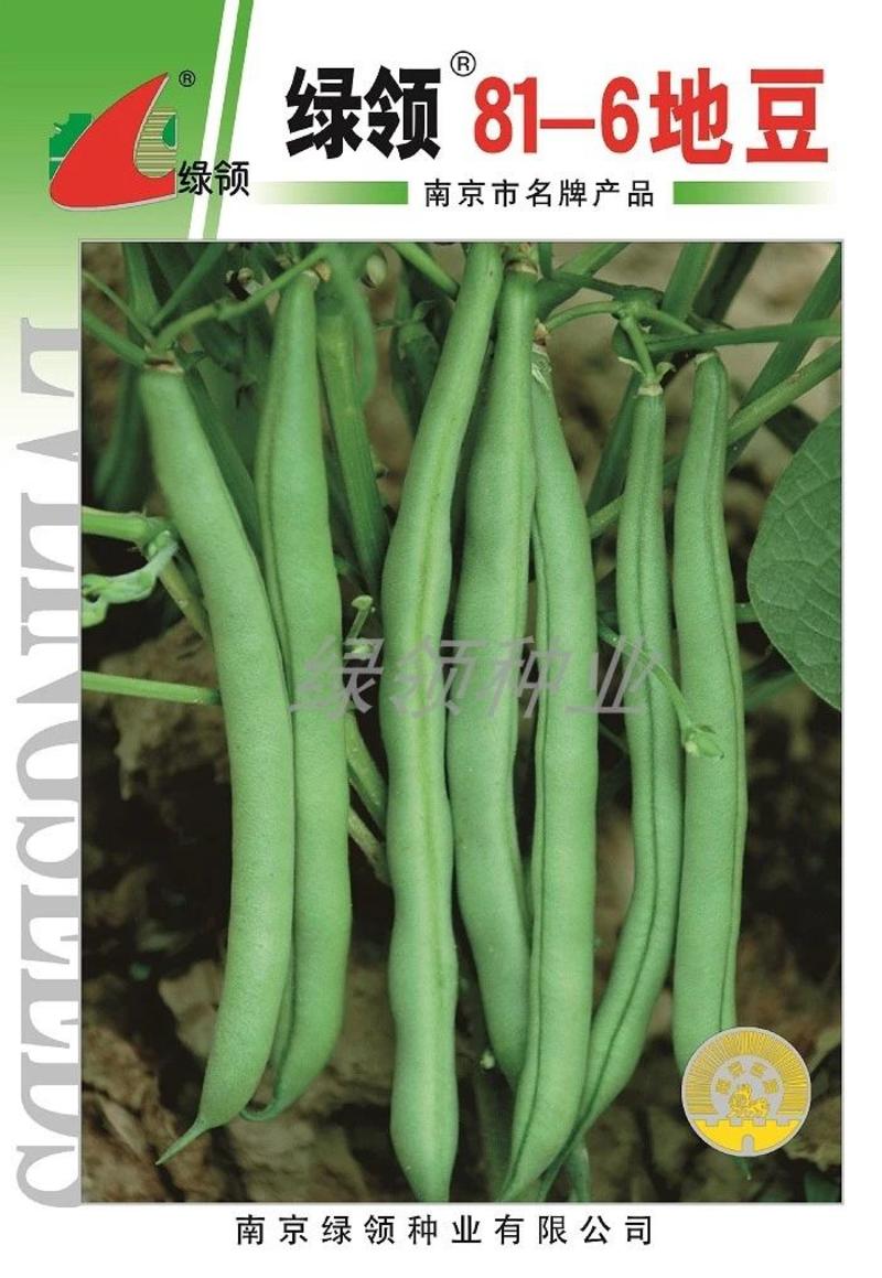 绿领无架四季豆种子，早熟丰产,优质无筋2斤装地豆种子