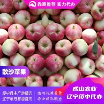 绥中珊莎苹果、散沙苹果主产区，70起步，优质货源实力代办