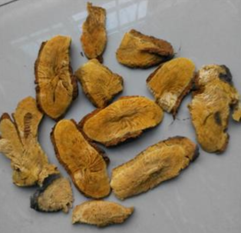 中药材虎杖虎杖根虎杖片斑杖苦杖根虎杖根新鲜干货