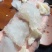 燕角燕窝大燕角燕角燕角边燕窝酸含量丰富孕妇滋补品泡发率高