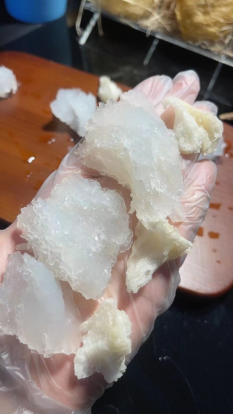 燕角燕窝大燕角燕角燕角边燕窝酸含量丰富孕妇滋补品泡发率高