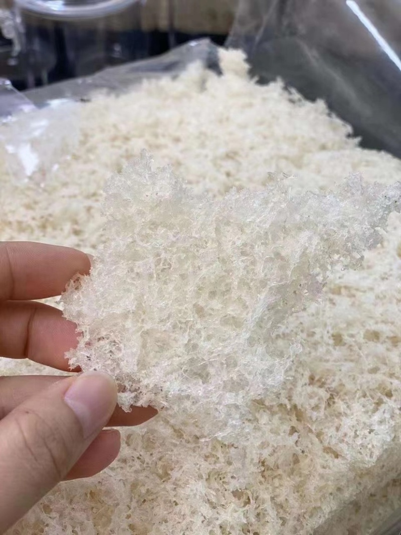 燕窝囊丝碎燕碎印尼正品孕妇滋补品泡发率高口感软糯