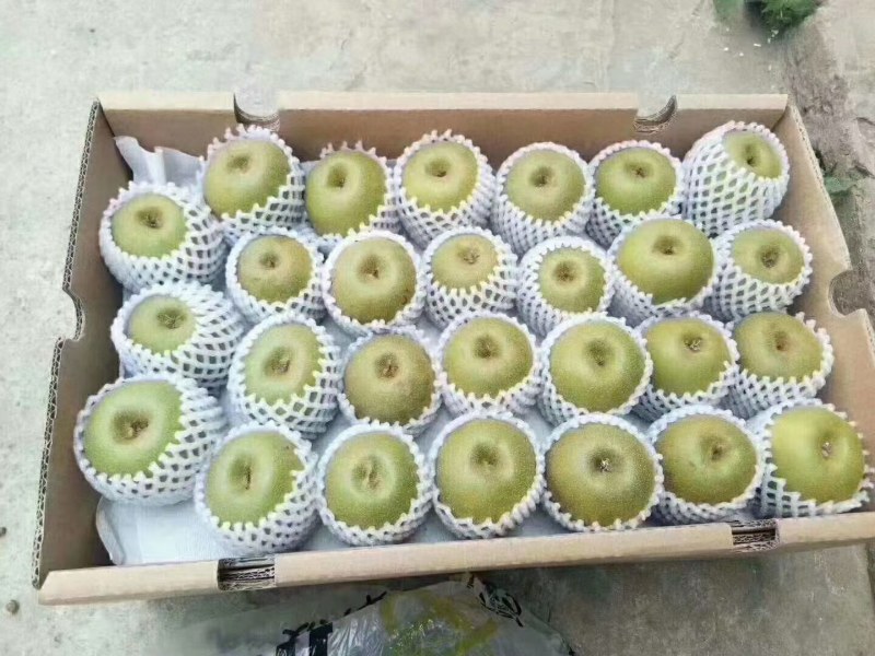 正宗红阳红心猕猴桃，农户一手货源大量新鲜红心猕猴桃出售，