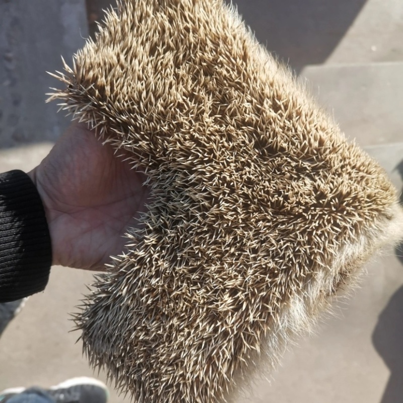 正品刺猬皮炒刺猬皮保证质量量大从优