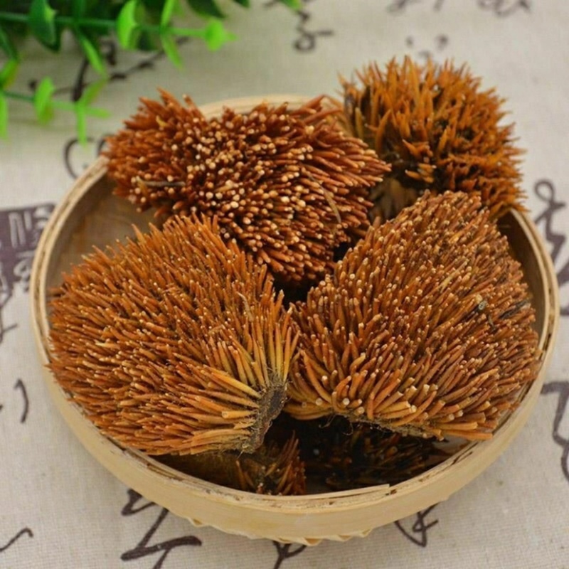 正品刺猬皮炒刺猬皮保证质量量大从优