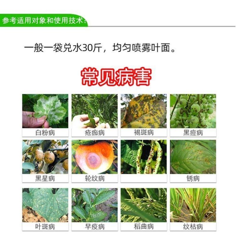 安徽广信90%多菌灵油菜菌核病蔬菜花卉叶斑病小麦赤霉病