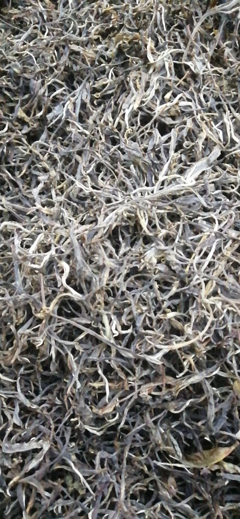 勐海县布朗山私家茶源。欢迎咨询。