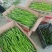 线椒15~20厘米特辣青