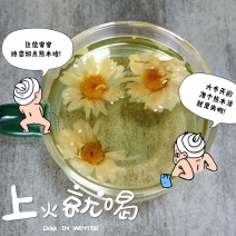 药材杭白菊菊花茶货品质量保证批发各种花茶