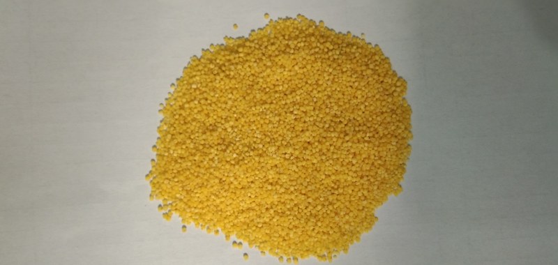 食泉坊精品小米（东北金苗k1小米）