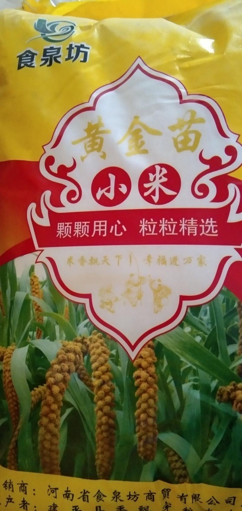 食泉坊精品小米（东北金苗k1小米）