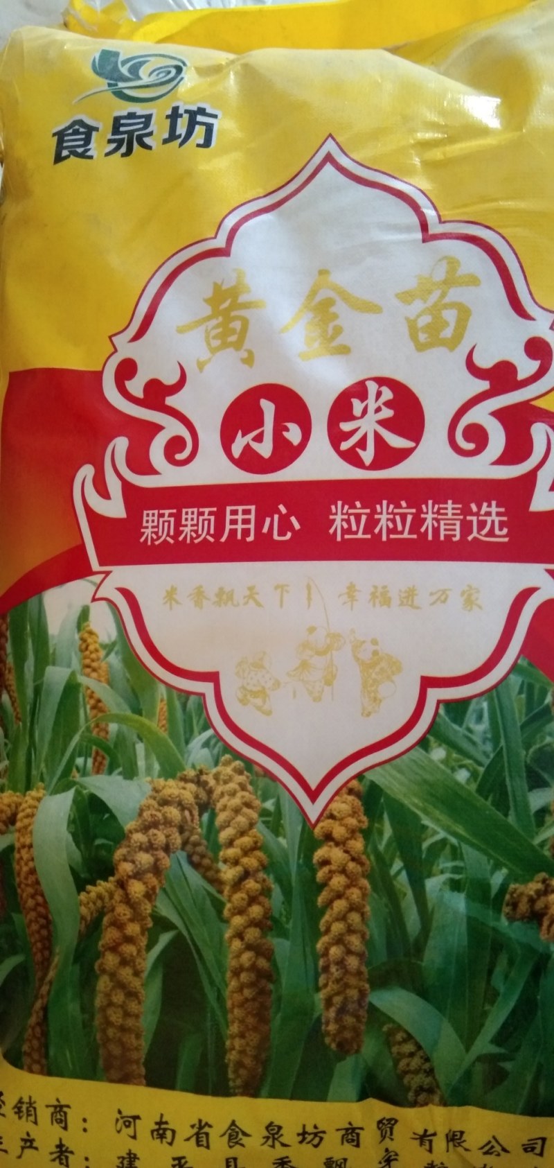 食泉坊精品小米（东北金苗k1小米）