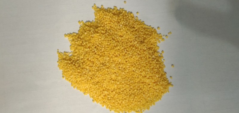 食泉坊精品小米（东北金苗k1小米）