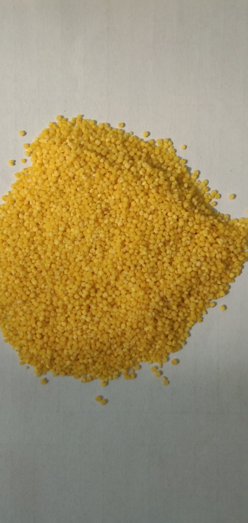 食泉坊精品小米（东北金苗k1小米）