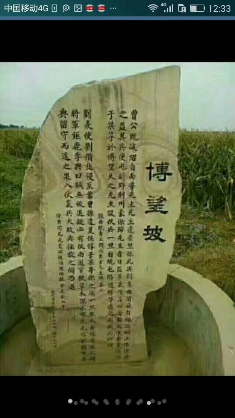 河南方城博望坡黄金梨已陆续大量上市中