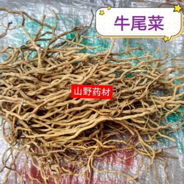牛尾菜中药材新鲜牛尾结整根大伸筋牛尾蕨野生包邮