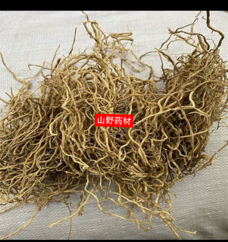 牛尾菜中药材新鲜牛尾结整根大伸筋牛尾蕨野生包邮