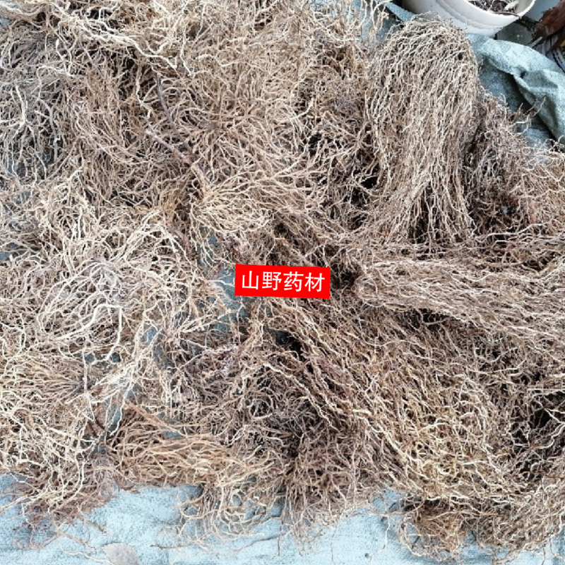 牛尾菜中药材新鲜牛尾结整根大伸筋牛尾蕨野生包邮