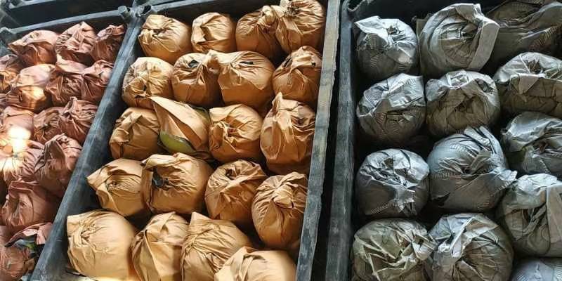 奥金苹果大量上市，欢迎新老客户前来选购，每天发车