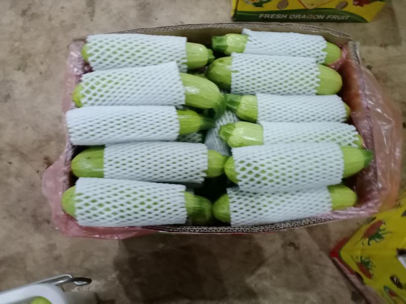 云南三月瓜