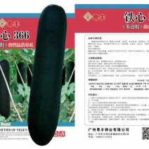 多边子冬瓜品种。火爆品种，各大种植基地优先选择品种。