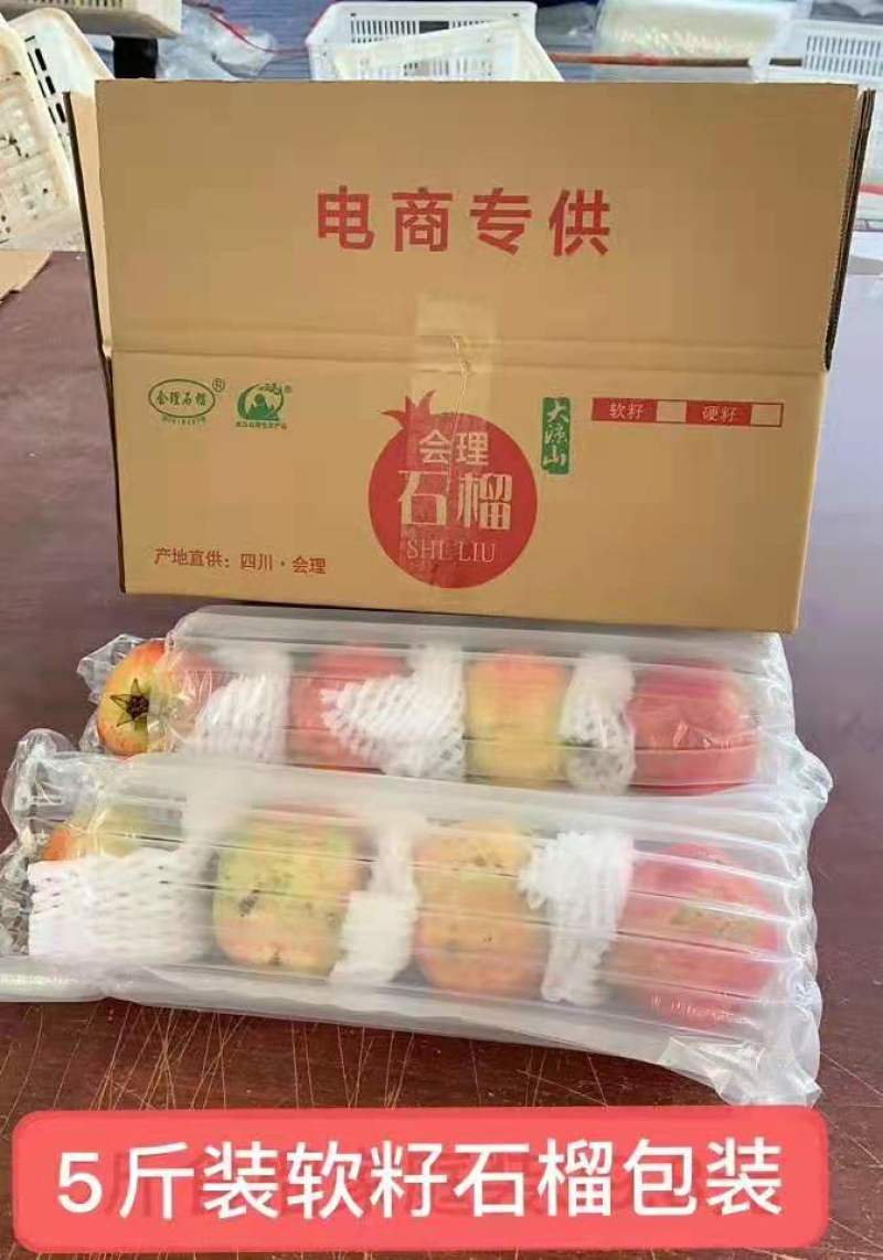 四川会理突尼斯软籽石榴，现摘当季水果5斤8斤包邮，坏果包陪