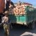 湖南南瓜、早熟王中王、金韩、基地直供质量保证、