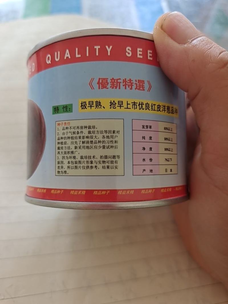 优质进口紫皮洋葱种子——早红福