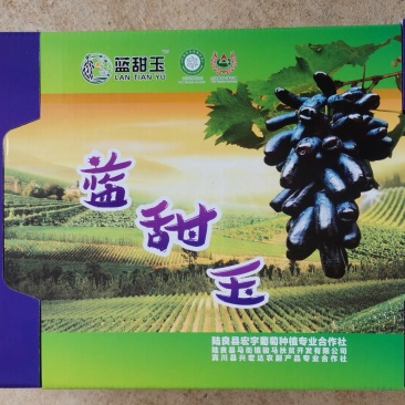 云南曲靖陆良县，甜蜜蓝宝石，产地直供，基地170亩