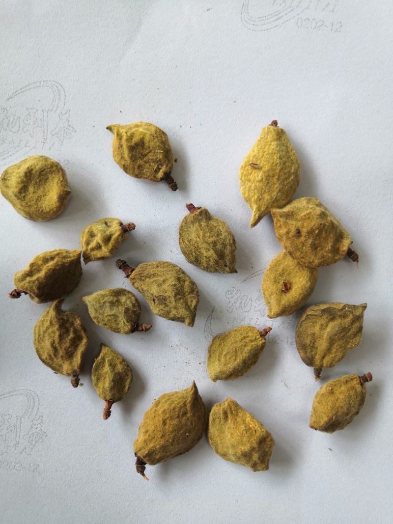 亳州产地直销大货多多瘪桃干碧桃干低价出售
